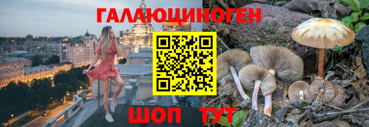 Вичуга  Псилоцибиновые грибы мухоморы  Вход с VPN 