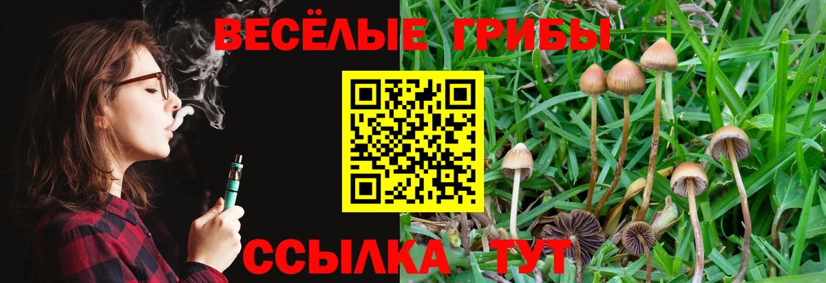 Псилоцибиновые грибы Cubensis Вичуга